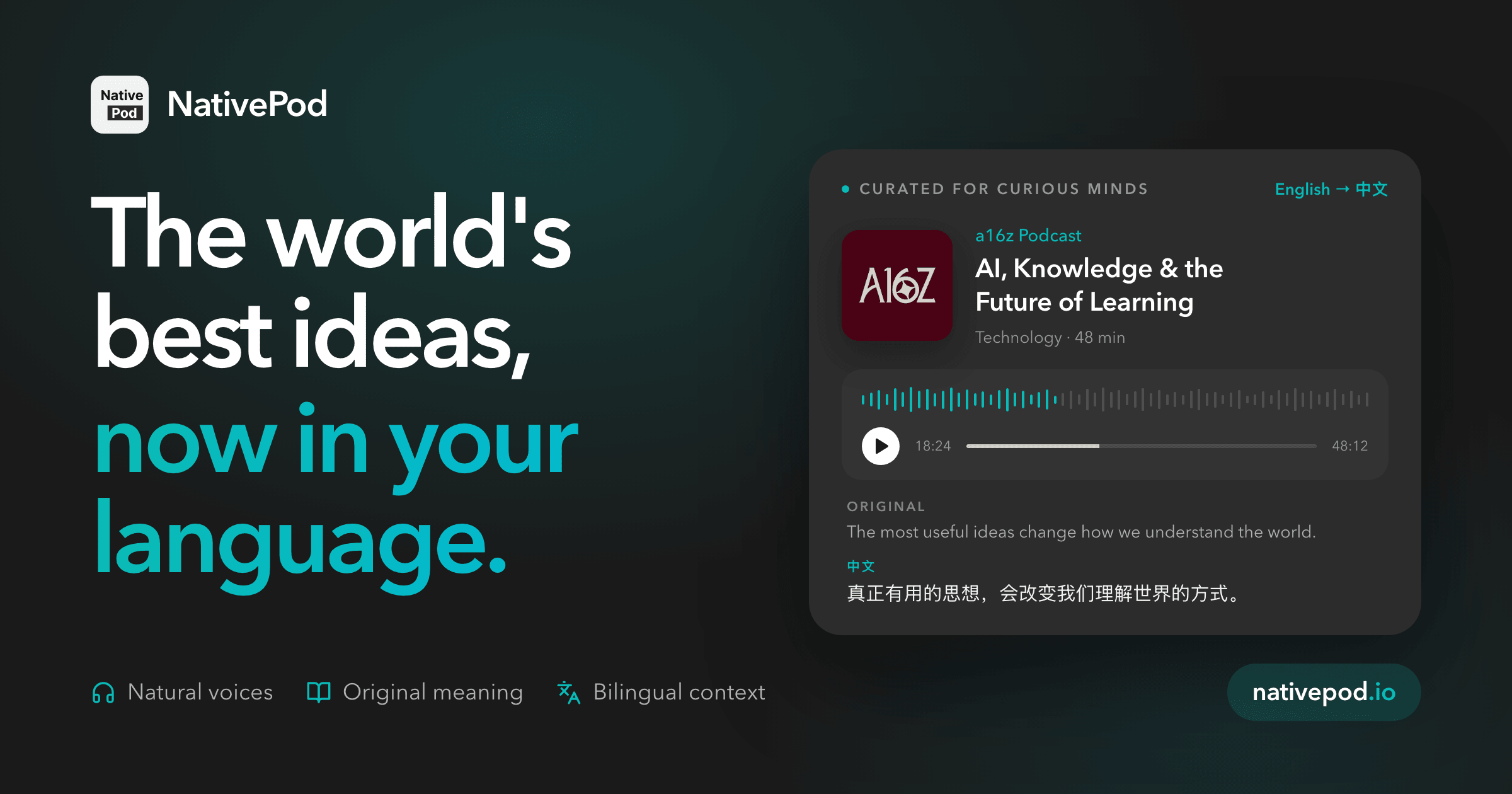 NativePod.io project preview